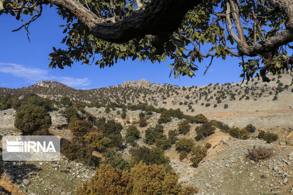 خبرنگاران 125 گروه مردمی و دولتی از منابع طبیعی جنوب کرمان خبرنگاران 125 گروه مردمی و دولتی از منابع طبیعی جنوب کرمان حفاظت می کنند