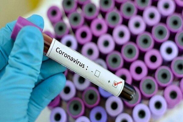 پیش بینی دانشگاه هاروارد درباره تجدید حیات ویروس کرونا در 2024
