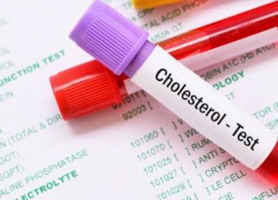 کلسترول و تری گلیسیرید چه فرقی باهم دارند؟