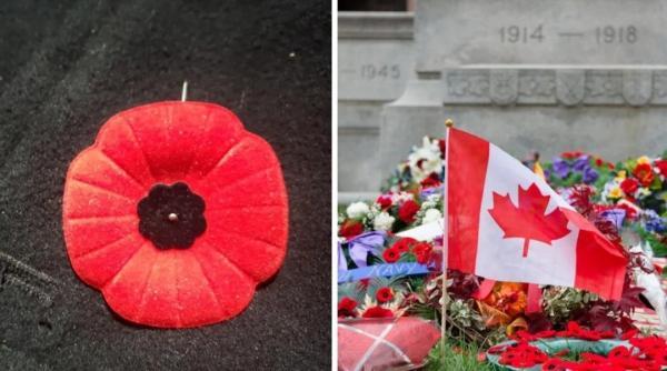شقایق سرخ نمادی از یادبود کهنهسربازان جنگ جهانی اول است