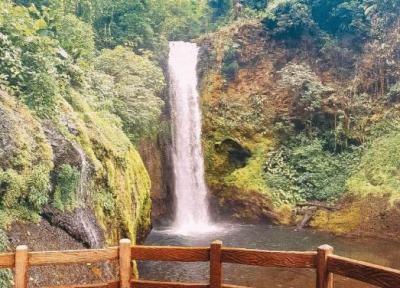 مقاله: باغ های آبشار لاپاز (La Paz) کاستاریکا