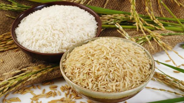 برنج قهوه ای یا سفید؛ کدام سالم تر است؟