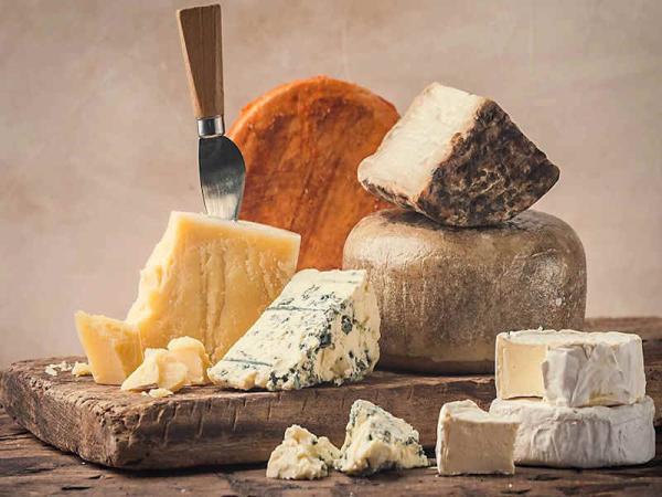 30 نکته راهنمای خرید پنیر پخت و پز ، پنیر کبابی گیاهی هست یا حیوانی؟
